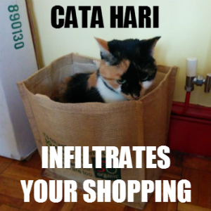 Cata Hari infiltrates your shopping...
